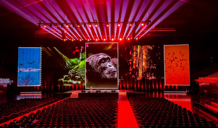 Fidelidade Pensar Maior 2025