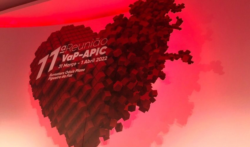 11º Reunião VaP-APIC